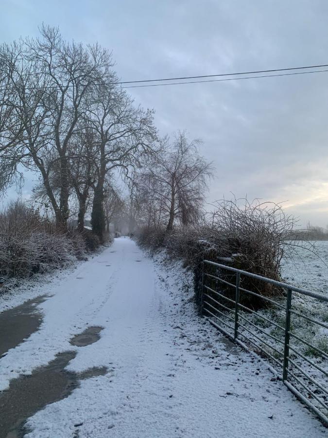 Ballyharvey B&B แอนทริม ภายนอก รูปภาพ